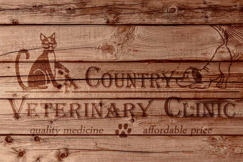 Veterinary Hospital in Wilmington NC